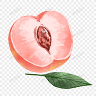 WWW,av309·COM网站APP图片