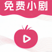 新大师兄影视最新版下载